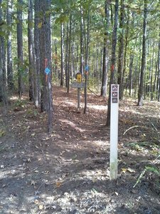 Looking towards the Blue "E" Trail from Pigeon Roost Rd and the eastern end of the 3 Bridges Trail