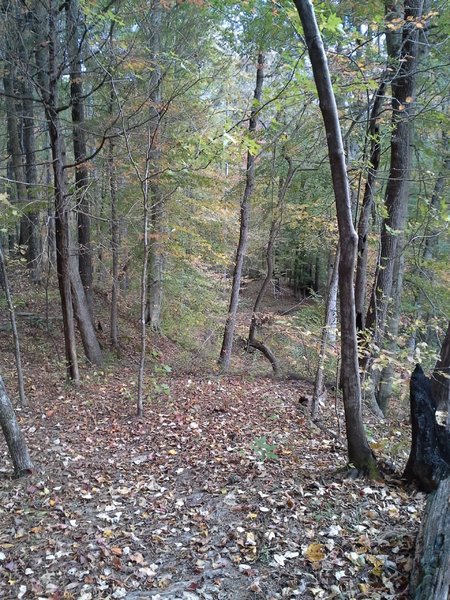 The bluff and switchback along the Blue E Trail