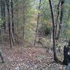 The bluff and switchback along the Blue E Trail