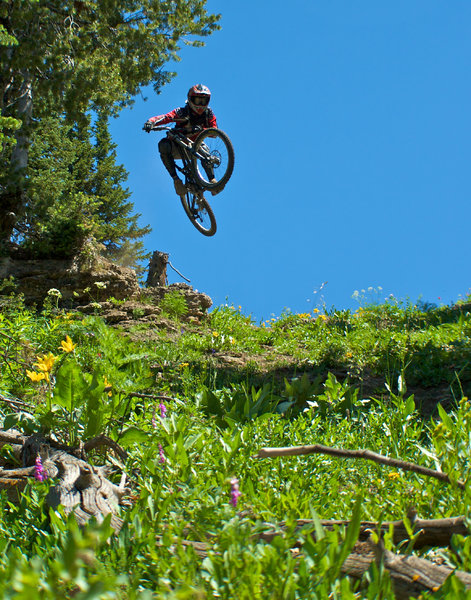 Buffalo drop big air!