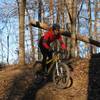 The famous Kevin Conerly zooming down one of the switchback along the 3 Bridges Trail