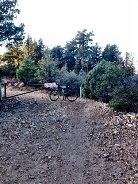 The gate at the end of the singletrack.  Go around the gate and follow the doubletrack to Trail 48