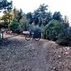 The gate at the end of the singletrack.  Go around the gate and follow the doubletrack to Trail 48