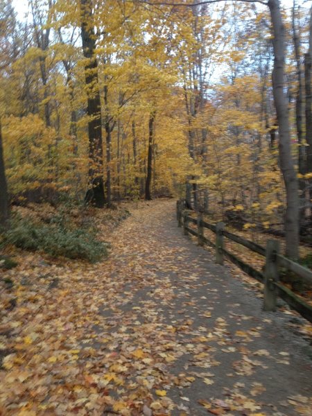 Double wide groomed trail, as you can see it is beautiful in the fall.