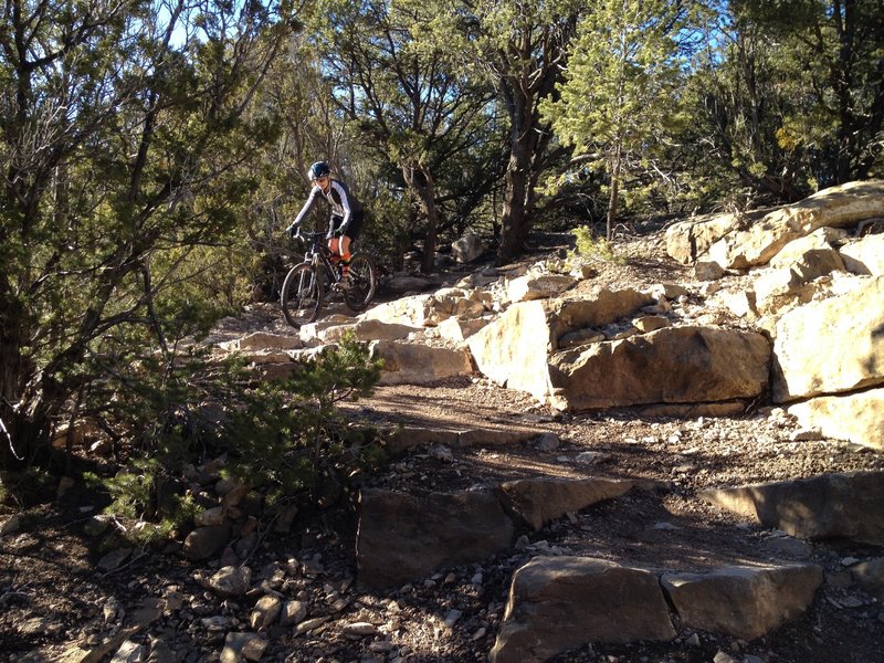 Rocky steps into the arroyo.