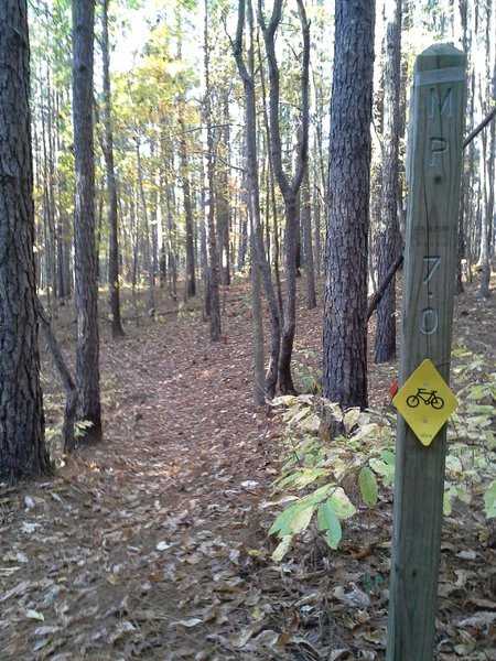 MP 7 along the Long Bridge Trail