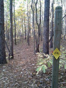 MP 7 along the Long Bridge Trail