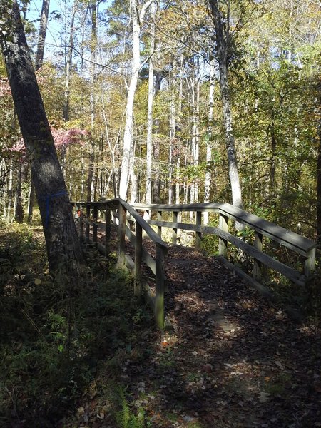 Long bridge on the Long Bridge Trail