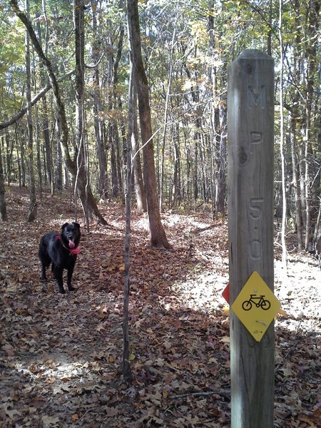 MP 5 along the North Trail. Just beyond this mile post is the "D" connector trail