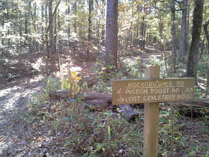 The D Connecter Trail and Rockcrusher Rd Trailhead