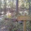 The D Connecter Trail and Rockcrusher Rd Trailhead