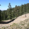 Bullwinkle berms