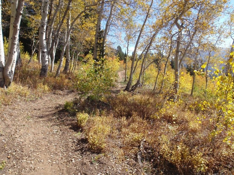 Peaked trail photo by Dana Ramos