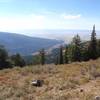 View of the Teton Valley from Peaked trail, photo by Dana Ramos