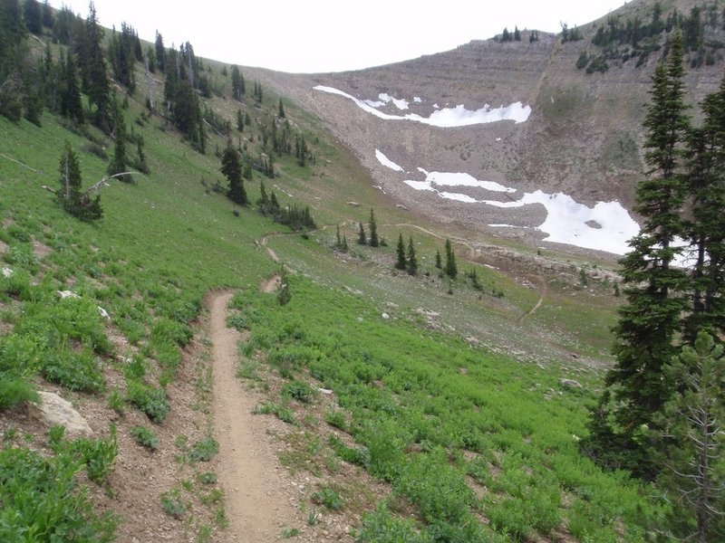 Sidwinder trail in Forth of July bowl, photo by Dana Ramos