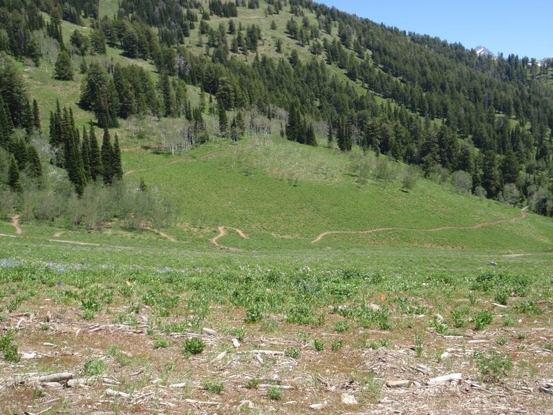 looking at the upper section of Colter's Escape, photo by Dana Ramos