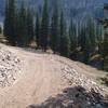 Big berms on Bullwinkle, photo by Dana Ramos