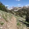 Grand teton view from the Grand Traverse trail, photo by Dana Ramos