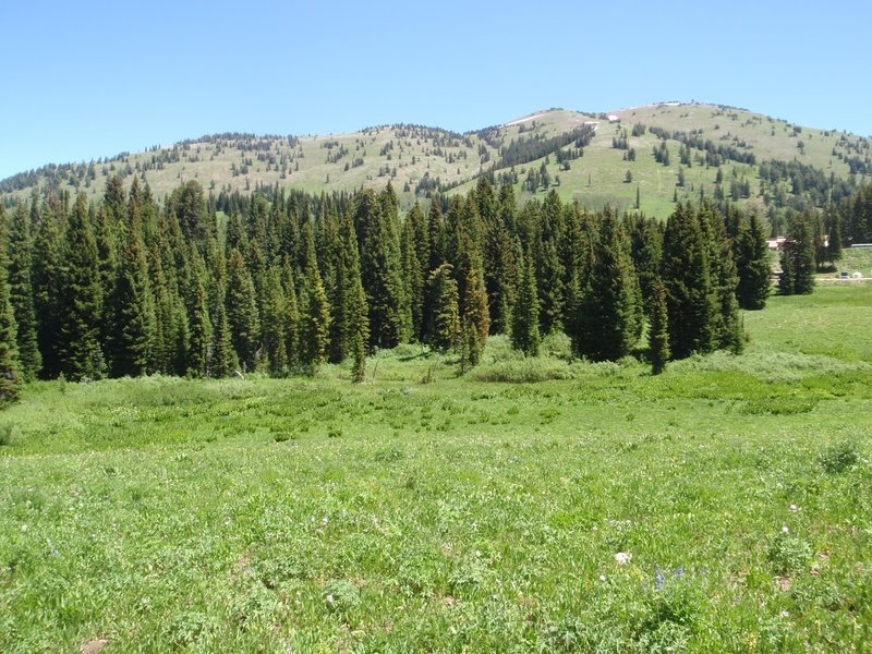 View of Grand Targhee Resort from Greenhorn trail, photo by Dana Ramos