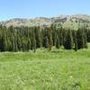 View of Grand Targhee Resort from Greenhorn trail, photo by Dana Ramos