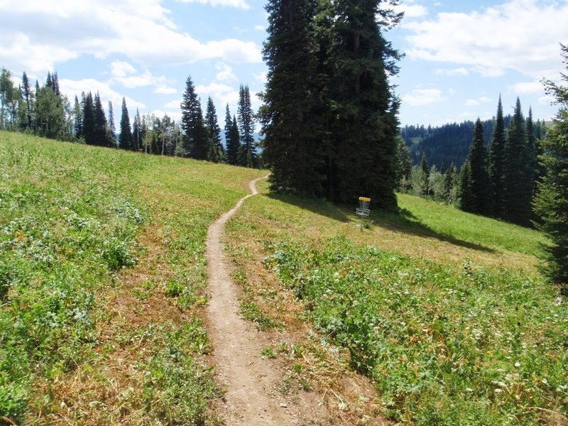 Shoshone trail