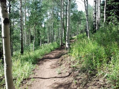 Rick's connector trail