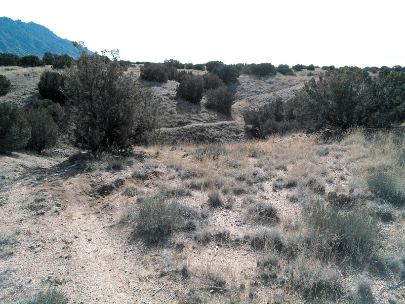 Here an abrupt descent crosses the arroyo and then winds up the other side