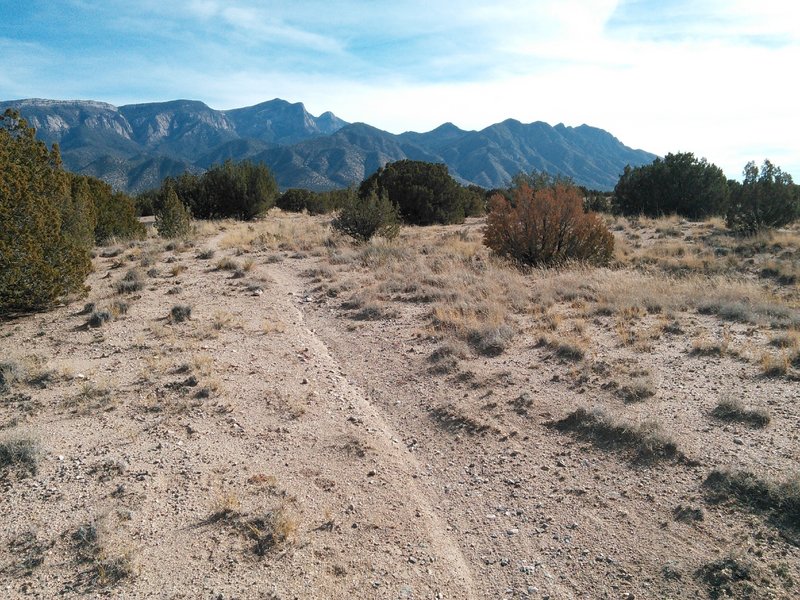 Smooth cruising like this mesa top is interrupted by more technically interesting arroyo crossings