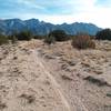 Smooth cruising like this mesa top is interrupted by more technically interesting arroyo crossings