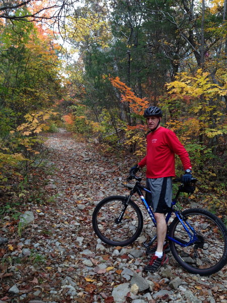 Be careful not to overshoot the Dummy Line Trail while heading up the Toll Gate Trail.