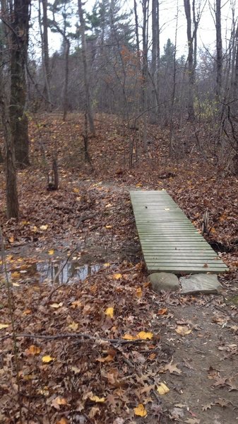 Creek Corssing, Bridge built by CAMBA