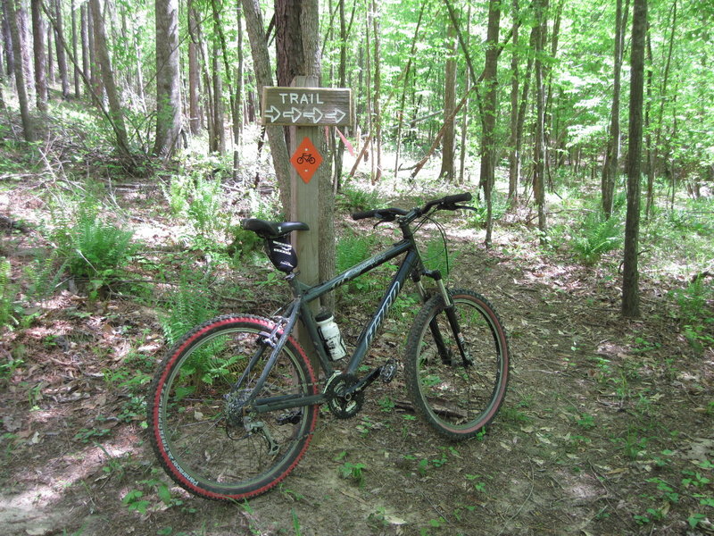 Signage leading to the singletrack reroute to the steep climb along Lost Cemetery Rd