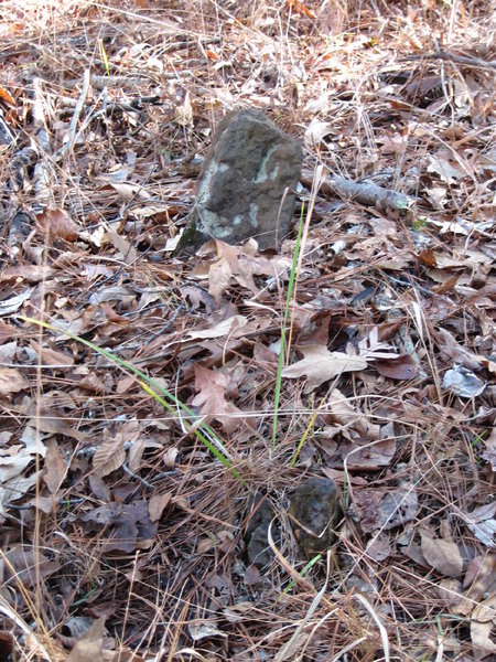 One of the unmarked graves at the recently found cemetery along Lost Cemetery Rd