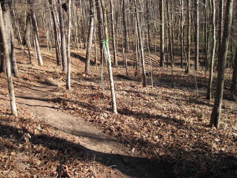 An almost textbook IMBA horseshoe shaped switchback along the singletrack reroute along the Lost Cemetery Road.