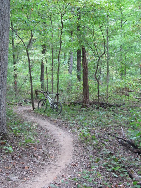 A section of the North Trail between the C and D Connector Trail.