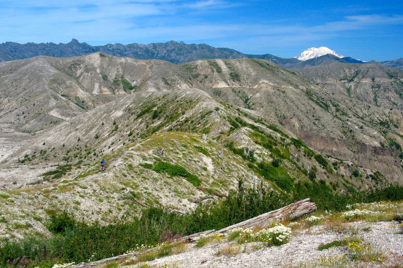 Climbing up a ridge on the scenic Plains of Abraham Trail at the base of Mt. St. Helens.