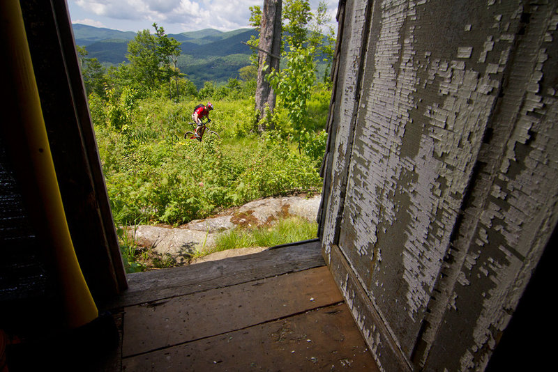 Looking out from the cabin into mountain biking bliss in the Greens.