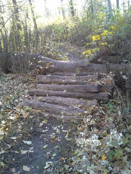 Log pile challenge