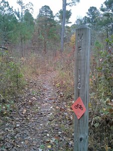 MP 1 along the Beaver Lodge Trail