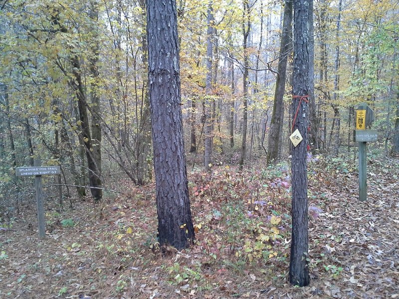 Beaver Lodge Trail, Rabbits Run Trail, Splashing Dog Trail and Walker Woods Road Trailhead.