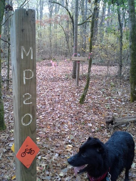 MP 20 and Spartacus along the Splashing Dog Trail, near Walker Woods Rd