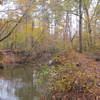 Splashing Dog Trail running along the banks of the Noxubee River