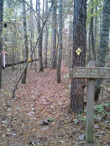 Rabbits Run Trail and Lost Cemetery Rd