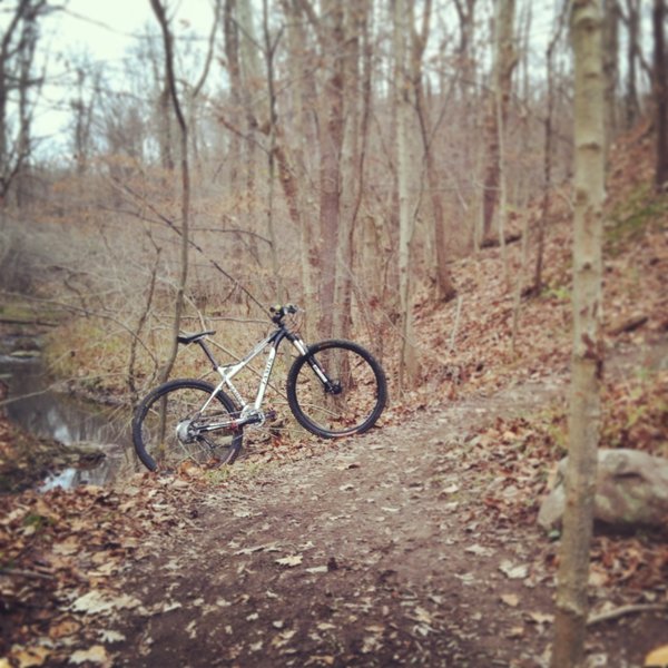 Technical section with some rocks in the trail next to a creek.