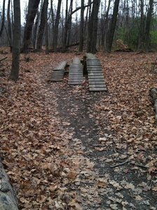 As soon as you come into the beginner trail to the right are a bounce of obstacles to practice on. This is just one of many.