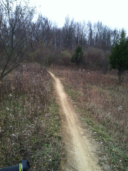 Nice smooth singletrack for beginners learning the feel of the trail.