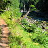 Cruising along the tranquil flowing waters on the Lewis River Trail.