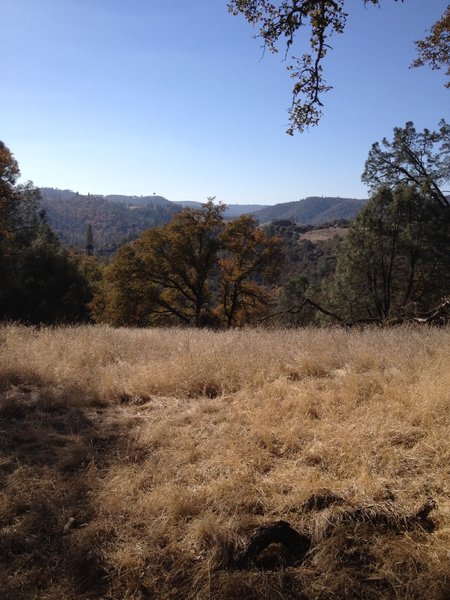 View from American River Trail Connector.