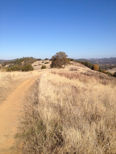 View along West Ridge