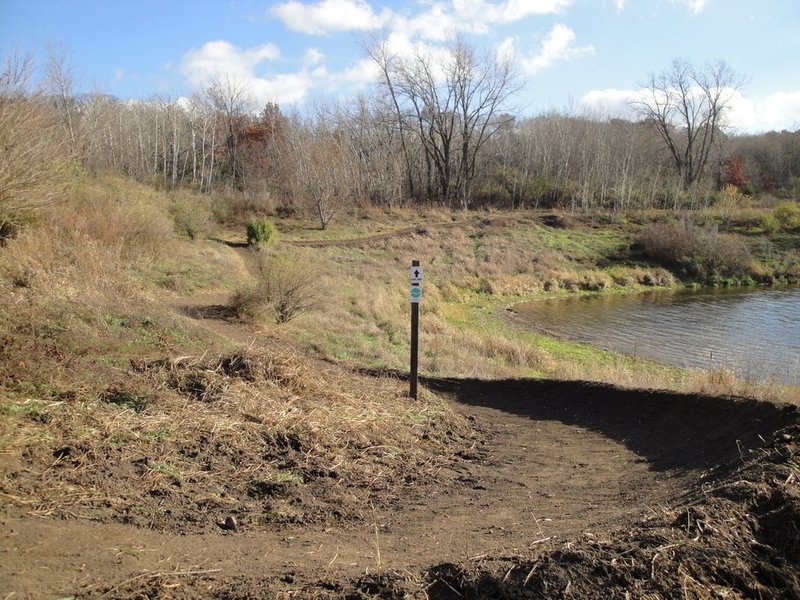 Large berm at entrance to new beginner trail.